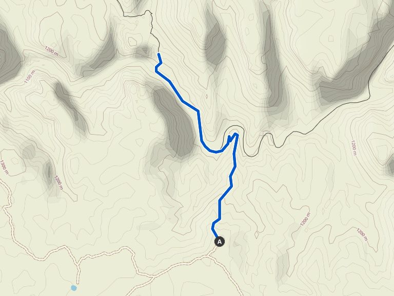 Redfield Canyon Cliff House — Coronado National Forest Wanderung Komoot